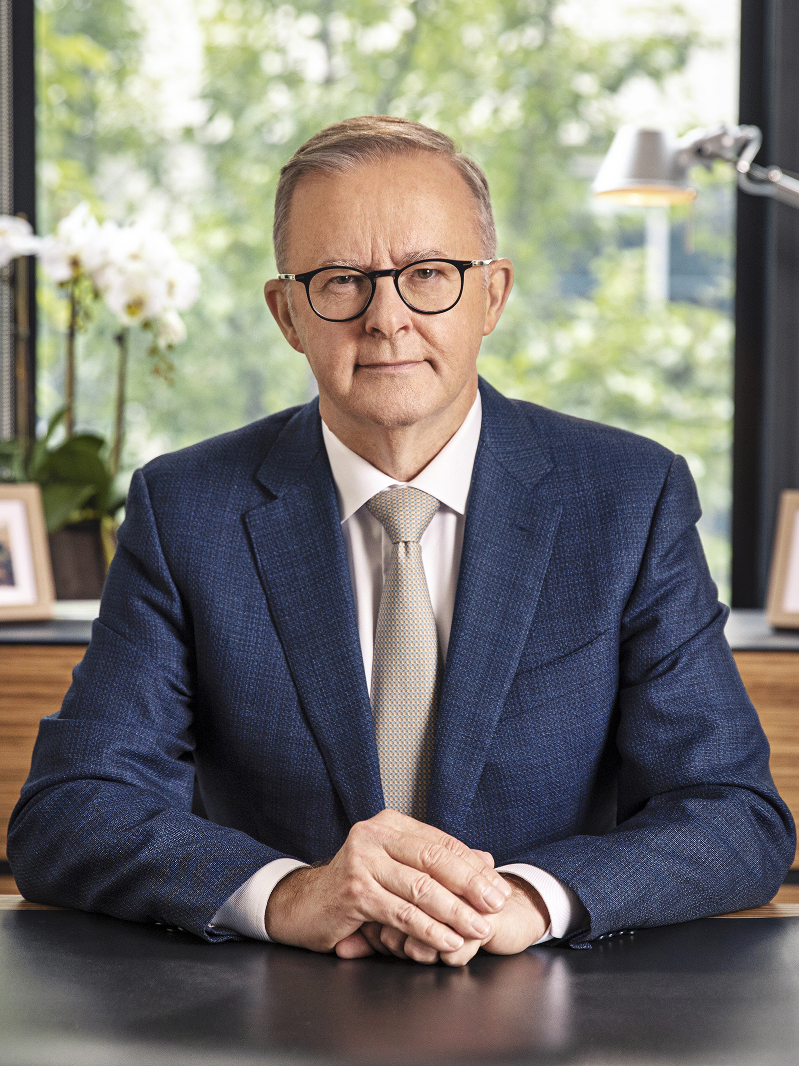 anthony albanese net worth